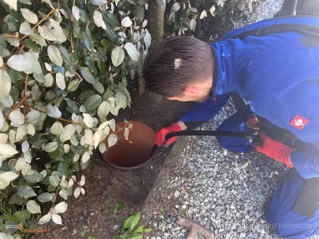 Rioolvliegjes Hoofddorp Rioolvliegjes Hoofddorp